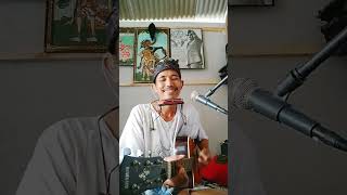 Download lagu Iwan Fals - celoteh camar tolol & cemar cover ade baton mp3