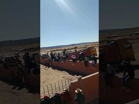 Corrida de toros curahuara de carangas Bolivia 