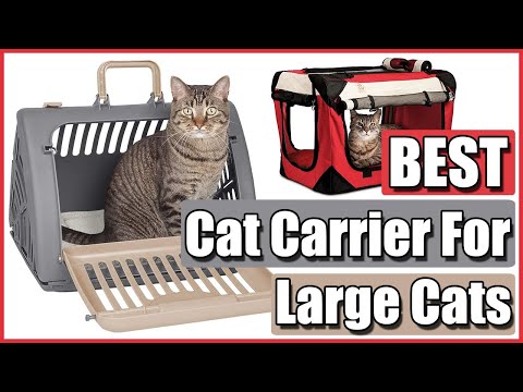 ✅Best Cat Carrier for Large Cats (Top 5 Reviewed)