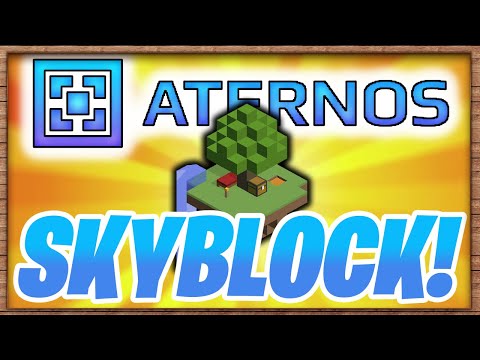 HOW TO MAKE A SKYBLOCK SERVER WITH ATERNOS! (1.16.5)