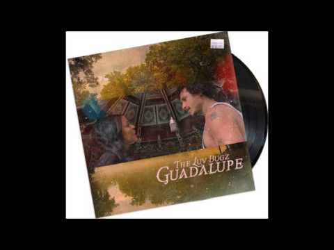 The Luv Bugz - Guadalupe
