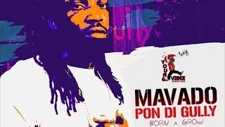 Mavado - Pon Di Gully (Born And Grow) [Dark Skies Riddim] February 2014
