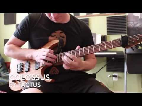 Tactus - Colossus (Official Guitar Playthrough)