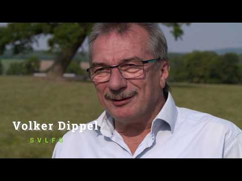 Sicherer Umgang mit Rindern - Zonenkonzept