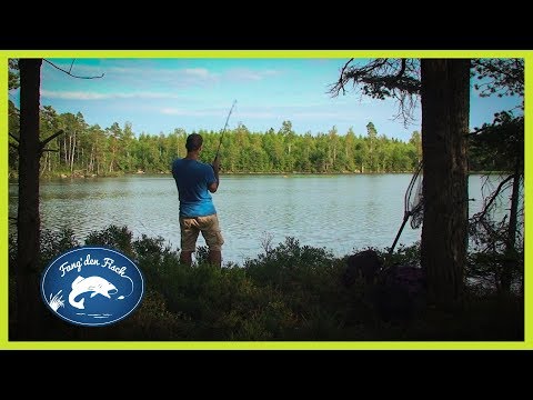 Hechtangeln in Schweden - Ein hartes Stück Arbeit!