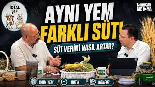 Süt Verimi Nasıl Artar? Aynı Yemi Kullanan İki Çiftliğin Farkı | İdeal