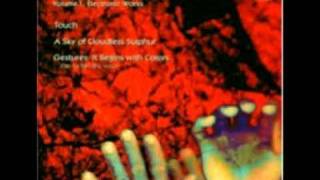 Morton Subotnick A Sky Of Cloudless Sulphur ( part 2)