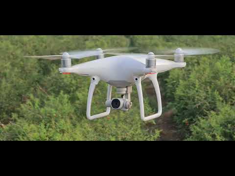 Drone Capturing Field Images | Citrus Farm | Samhitha Crop Care Clinics