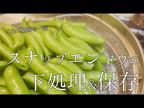 スナップエンドウの冷凍:正しい方法 ライフスタイル