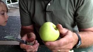 Five Early Apples:  Early Harvest, Red Astrachan, Yellow Transparent, Lodi, Henry Clay