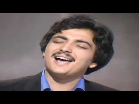 OTO PESTNER-TRIDESET LET(2) (VIDEO) 1973