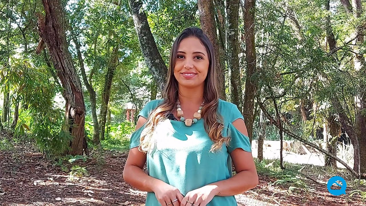 youtube video id=7xzol2MvdzY