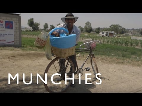 Taco de Canasta | Todos Los Tacos T1 - E2