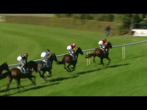 Dielsdorf/24.09.2023/Land Rover - Jockey Club - Gentlemen's Cup