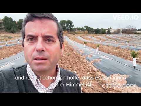 Zitrushain - Cubierta vegetal plantada.