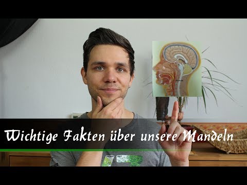 Kragen Graben mit Vorsprung der Halswirbelsäule Diprospan die Behandlung von Wirbelsäulen Hernie