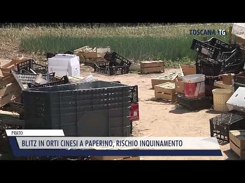 2022-07-22 PRATO - BLITZ IN ORTI CINESI A PAPERINO, RISCHIO INQUINAMENTO