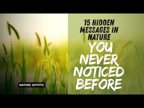 15 Hidden Messages in Nature You Never Noticed Before