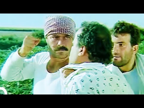 Eskici ve Oğulları | Kadir İnanır Eski Türk Filmi İzle