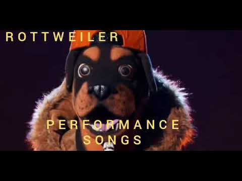 Rottweiler All songs Performance Chris Daughtry