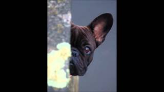 Ace Cannon   ''TUFF''