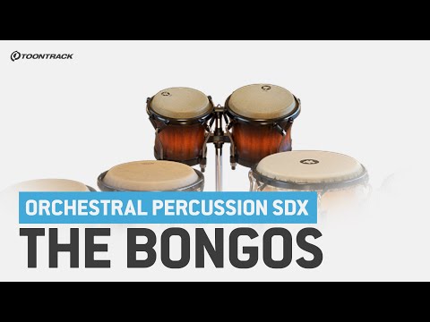 Toontrack Orchestral Percussion SDX Expansion Sweetwater