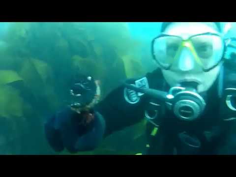 Scuba Diving in Cornwall for plastic pollution in the ocean! | DIVE FOR DEBRIS
