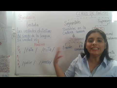 FONÉTICA Y FONOLOGÍA