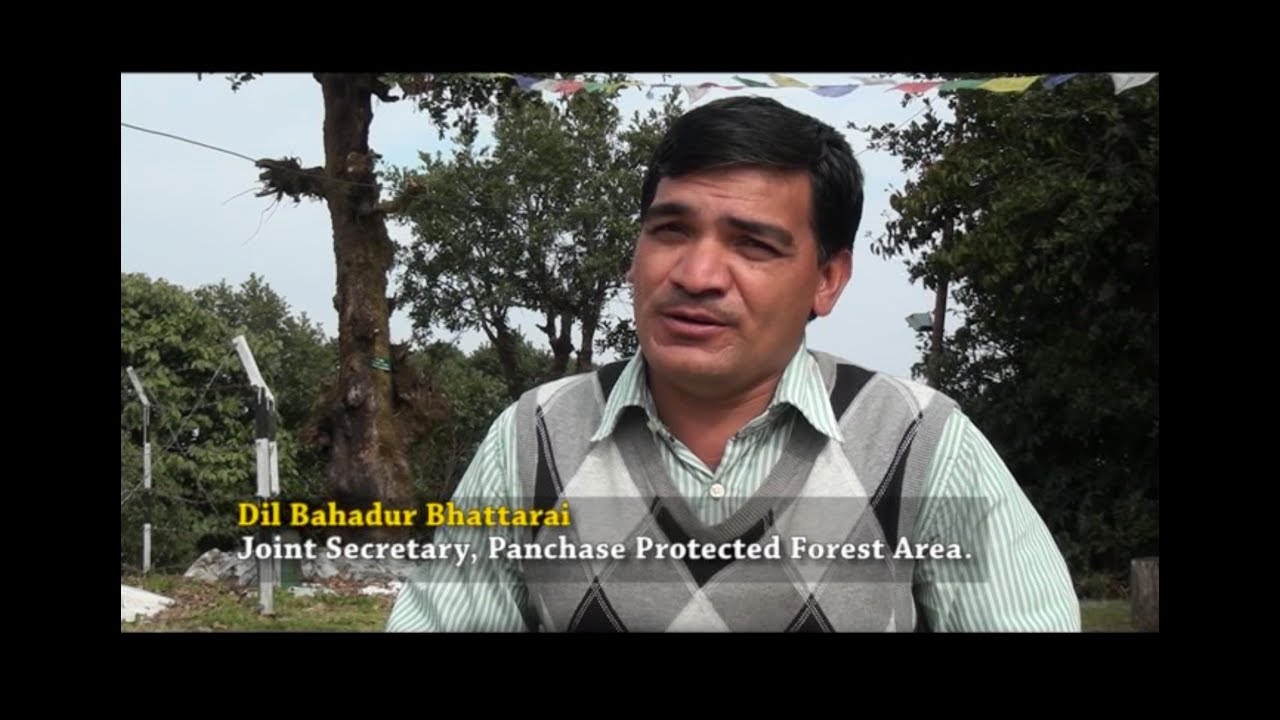 Ecosystem based adaptation - A case from Panchase