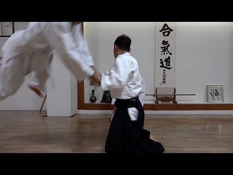 Will Aikido, the martial art that makes people fly, be applicable to mixed martial arts?!
