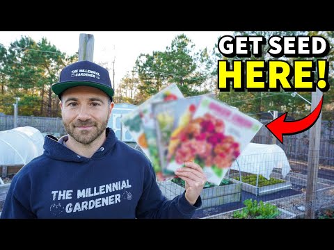 I LOVE To Buy SEEDS For A Vegetable Garden From These Places!