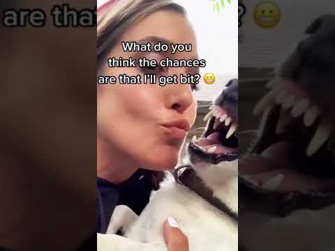 ¡Una mujer intenta besar a su perro, pero él no lo acepta!