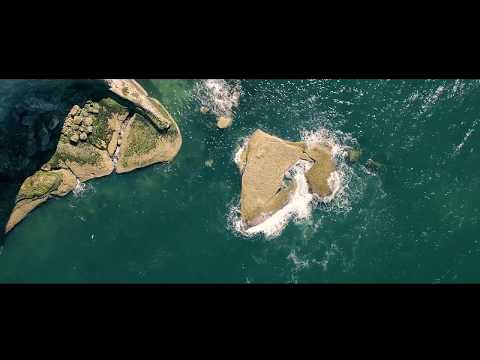 Sasha Primitive   Love Me