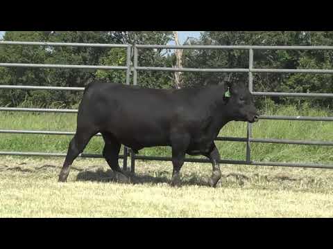 Lot 3, HPCA Surefire Z178