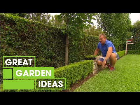 , title : 'Tips & Tricks For Perfect Hedging | Gardening | Great Home Ideas'