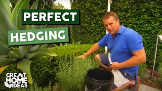 Tips & Tricks For Perfect Hedging | Gardening | Great Home Ideas