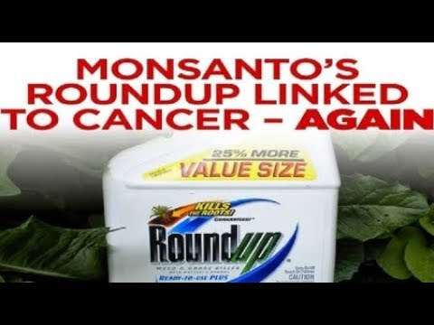 Monsanto Roundup cancer causing weed killer on groceries @ stores Near U Breaking News February 2019 Video