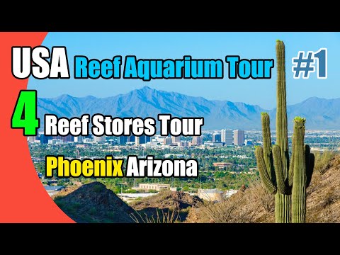 4 Reef Aquarium Stores Tour in Phoenix - Arizona, USA Part1