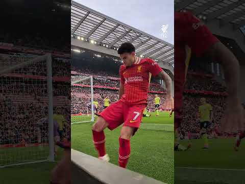 Passion From Lucho 😤