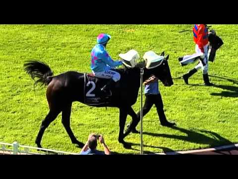 Ascot, 06/04/2016 - Race 3 - SASSO'S CIRCUS - Adam Durrant