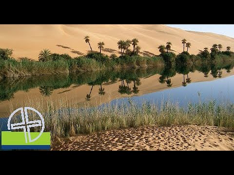 Stop and go – Fruchtbare Wüstenzeiten