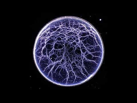 Maze 28 FT.R10(AI) - Enlight (Extended Mix)[VP]