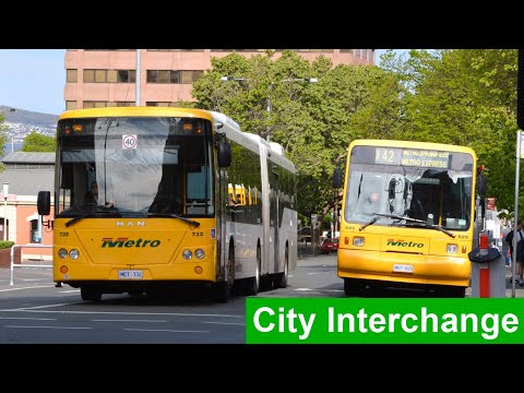 Buses at Hobart City Interchange during Peak Hour