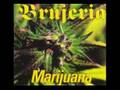 Brujeria-Marijuana 