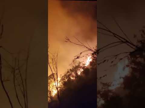 PRADERA VALLE DEL CAUCA URGENTE YA COMPLETA VARIAS HORAS UN INCENDIO  BOLO