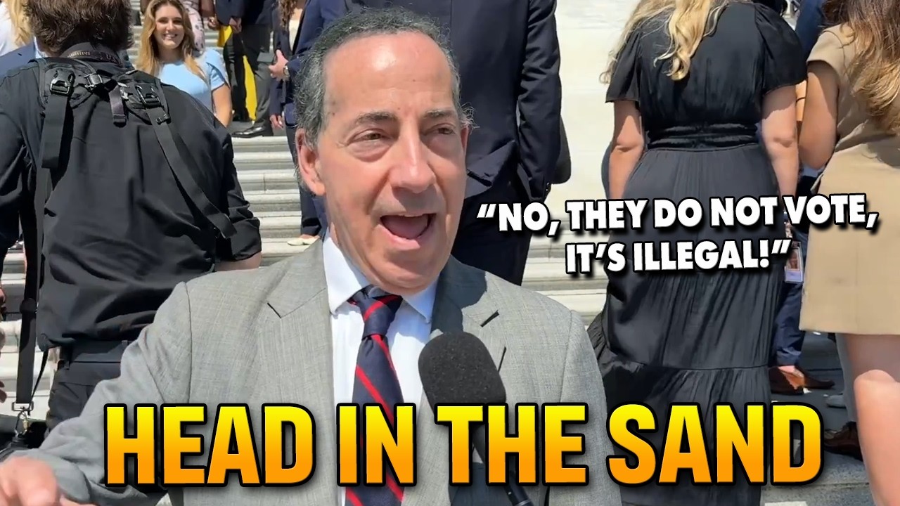 Raskin SNAPS when asked about ILLEGALS voting in U.S. elections, REFUSES to admit it's happening