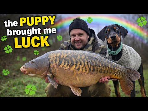CRAZY Winter CARP fishing, my new PUPPY saw his first FISH 