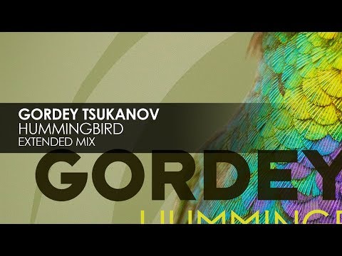 Gordey Tsukanov - Hummingbird