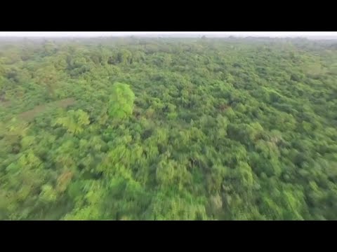 非洲的綠色長城是什麼？ (What is Africa's Great Green Wall?)