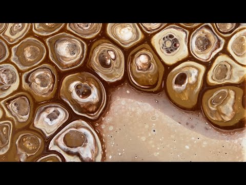 (510) Monochromatic Stretched Chameleon Cells- Fluid Acrylic Paint Pouring - Fluid Art